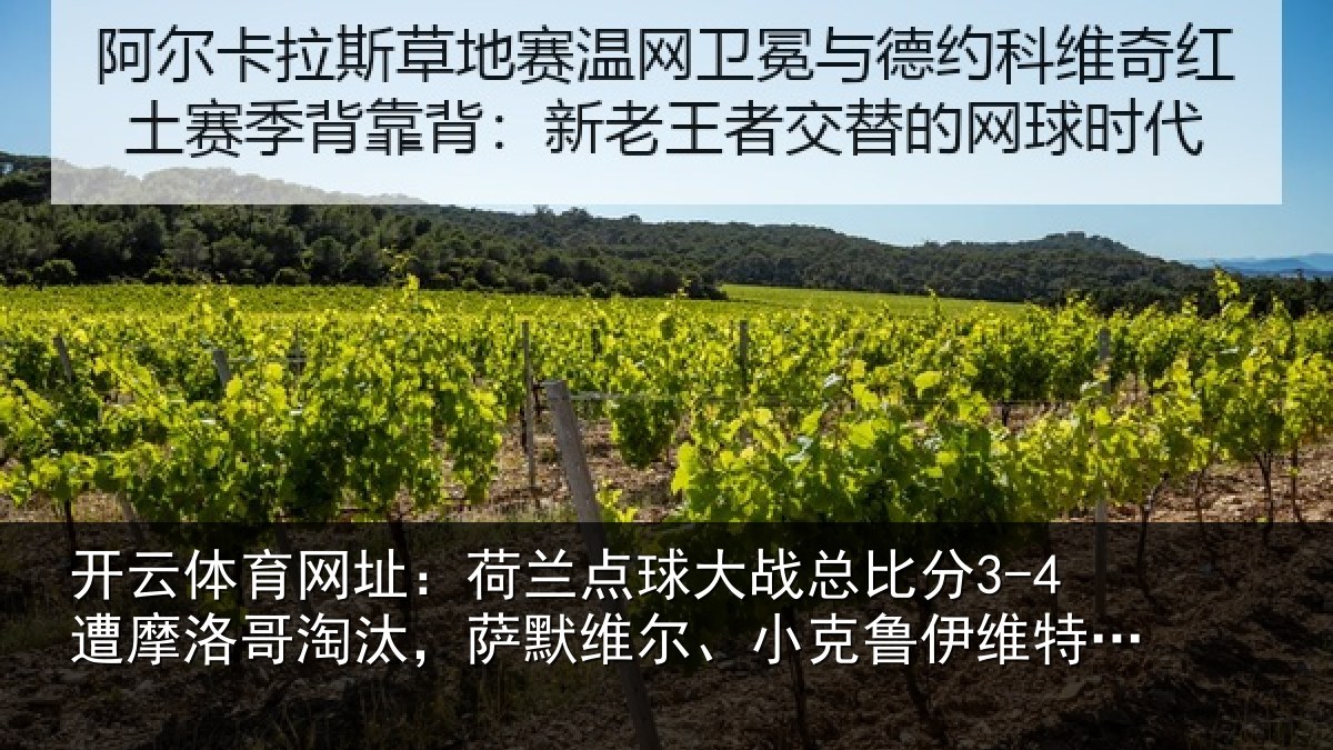 开云体育网址：荷兰点球大战总比分3-4遭摩洛哥淘汰，萨默维尔、小克鲁伊维特丢点