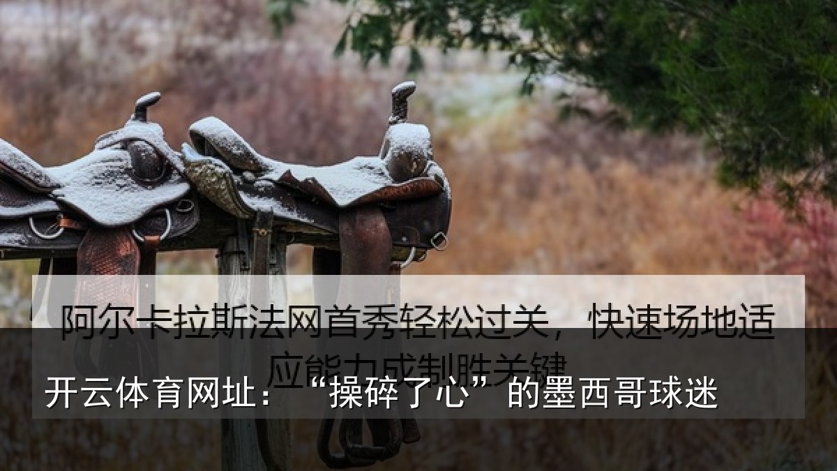 开云体育网址：“操碎了心”的墨西哥球迷