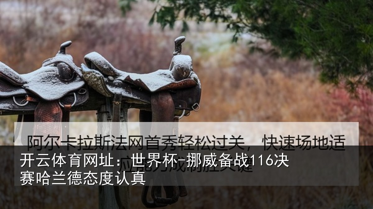 开云体育网址：世界杯-挪威备战116决赛哈兰德态度认真
